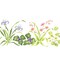 Iris Mix Floral Wall Stencil | 1751 by Designer Stencils | Floral Stencils | Reusable Art Craft Stencils for Painting on Walls, Canvas, Wood | Reusable Plastic Paint Stencil for Home Makeover | Easy to Use & Clean Art Stencil